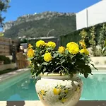 Monaco Formula 1 Luxury Apartment, Garden, Pool * Босолей