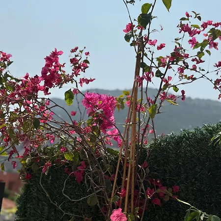 Monaco 2bdr Luxury Apartment, Private Garden&pool Beausoleil