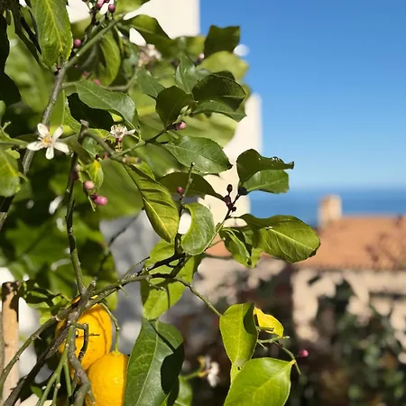 Monaco 2bdr Luxury Apartment, Private Garden&pool Lejlighed