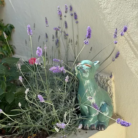 Rare, Private Garden, 2bdr, Monaco Border * 보솔레이