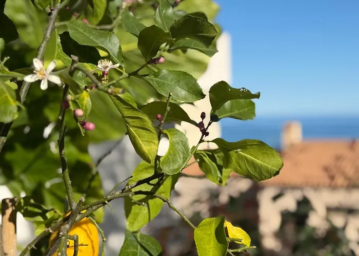 Monaco Formula 1 Luxury Apartment, Garden, Pool شقة